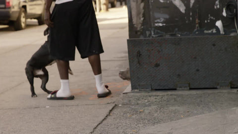 man in sandals and socks with dog in Harlem by cellar doors on summer morning day - Uptown Manhattan NYC