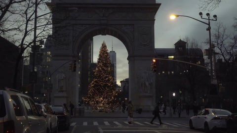 Washington Square Park arch with Christmas tree and Freedom Tower at dusk in NYC