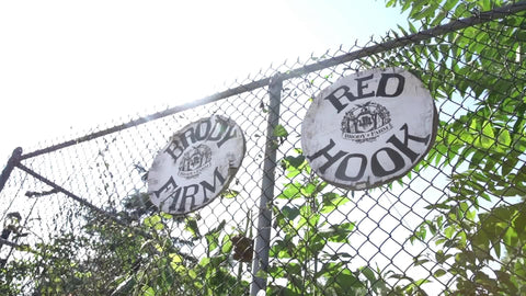 Brody Farms Red Hook Brooklyn fence sign New York City