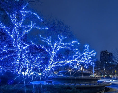 Christmas lights on trees at night in Midtown Manhattan