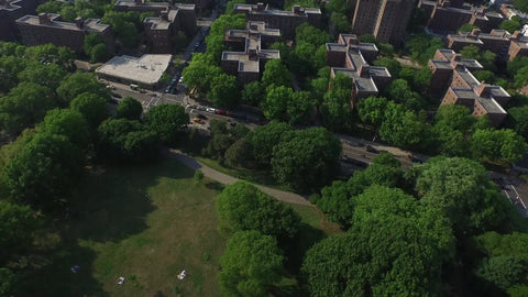 aerial of projects and trees and highway with Manhattan skyline in distance in NYC