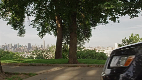 couple enjoying view of Manhattan skyline from New Jersey overlook on summer day