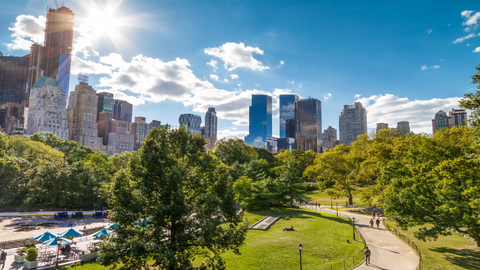 Central Park trees on sunny day with Manhattan skyscrapers - timelapse in 4K and 1080 HD in NYC