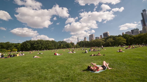 people tanning in Central Park on summer day