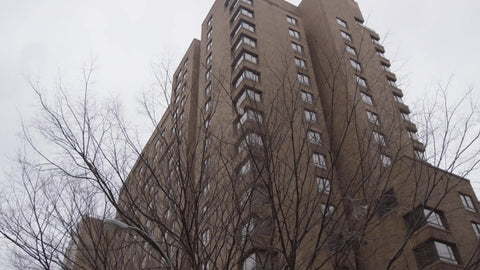 red brick building in fall bare trees cold autumn winter New York City