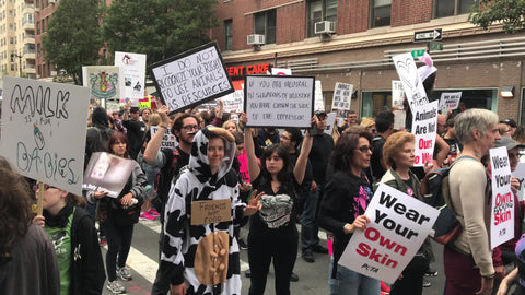 people chanting animal rights at vegan protest activist woman in cow suit demonstration in New York City