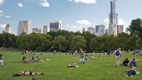 Central Park meadow in summer with people sunbathing on grass