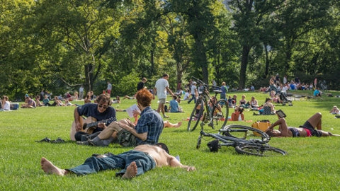 Central Park in summer - people laying on grass sunbathing on sunny day