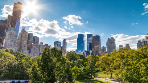 Manhattan skyscrapers tilting down to Central Park trees on sunny day - timelapse in 4K and 1080 HD in NYC
