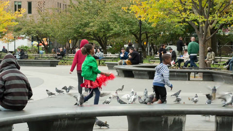 children playing with birds, scaring pigeons in Washington Square Park in NYC