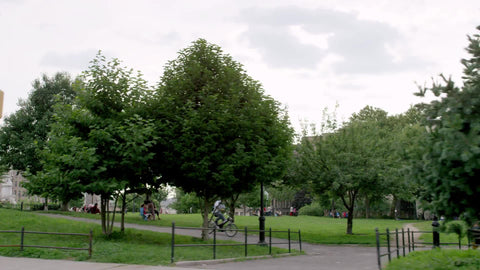 driving past Bronx park with people sitting on benches on spring day