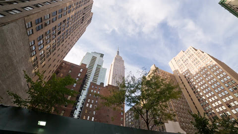 driving past Empire State Building and trees on sunny day from street view