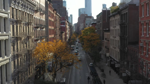 aerial cars driving down SoHo street on fall day colorful trees leaves changing color New York City NYC