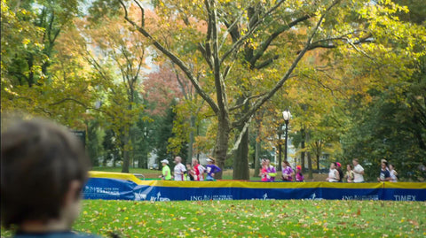 people watching Marathon runners in Central Park with colorful changing leaves on grass 1080 HD in NYC