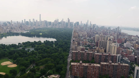 Central Park West overhead aerial of street trees and buildings Manhattan New York City NYC