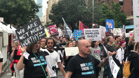 people chanting go vegan and animal rights sign at march in New York City