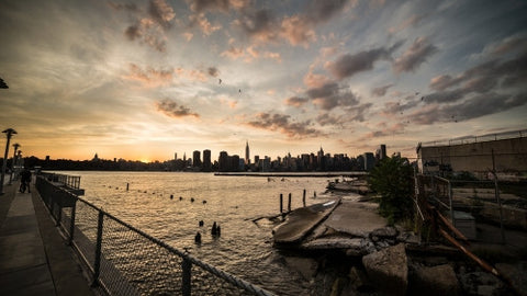 Manhattan skyline view from Brooklyn with birds flying in sky and wood dowels in East River water at sunset