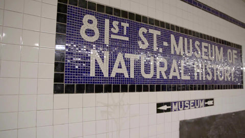 81st street subway station with B train pulling into platform - American Museum of Natural History stop in NYC