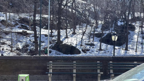driving past snow benches people outside Central Park cold winter Manhattan New York City NYC