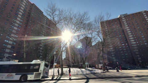 125th street Grant Houses - housing projects people texting on phone crossing paths outside red brick buildings Harlem New York City NYC