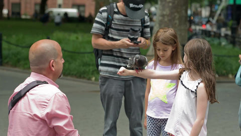bird trainer teaching girls a trick with pigeon - man and kids in Washington Square Park in summer in NYC