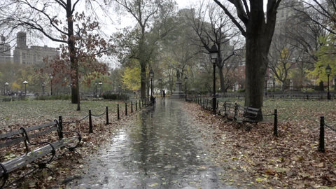 walkway in Washington Square Park on wet rainy fall day - raining with leaves on ground