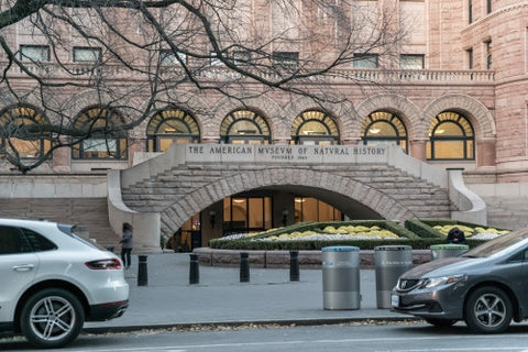 American Museum of Natural History side planetarium entrance with cars parked and recycle cans
