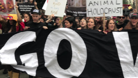 people holding large go vegan sign at animal cruelty protest in New York City