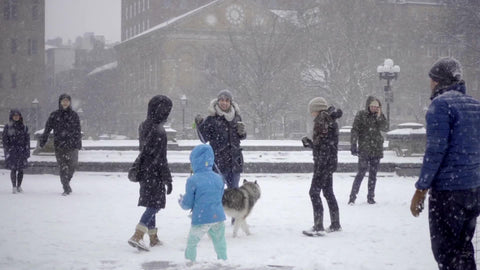 snowing in Washington Square Park little girl throwing snowball at mother on winter blizzard day NYC