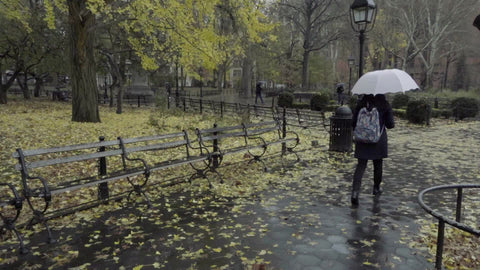 yellow leaves on rainy fall day in Washington Square Park - raining with woman walking with umbrella in slow motion