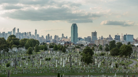 Calvary Cemetery with view of Manhattan skyline from Queens NY
