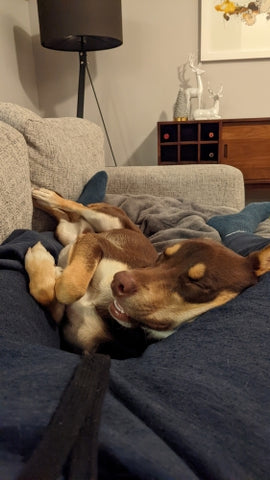 PXL_20220119_023758431